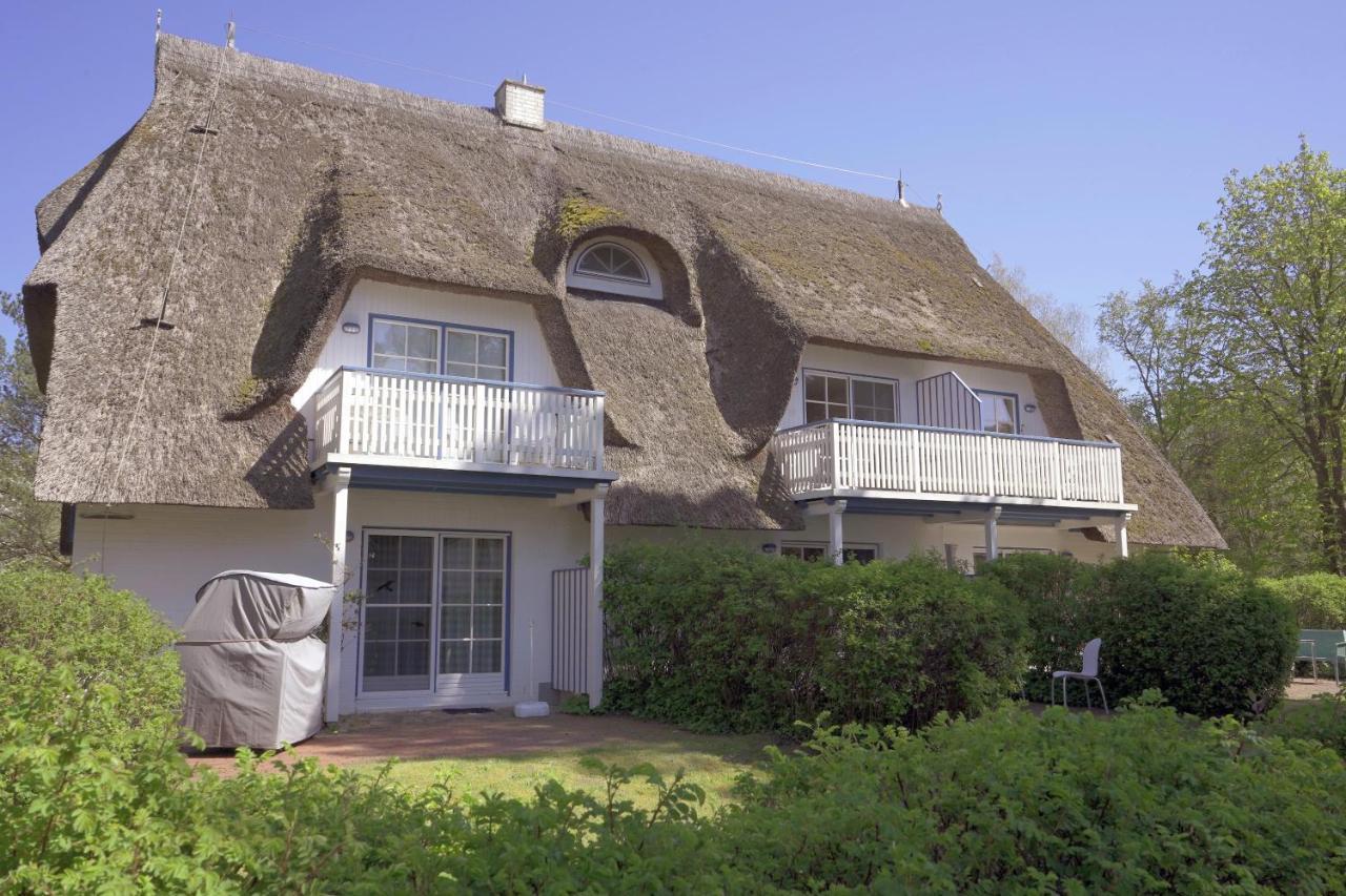 Achtern Diek 8A - Wohnung 5 Zingst Eksteriør billede