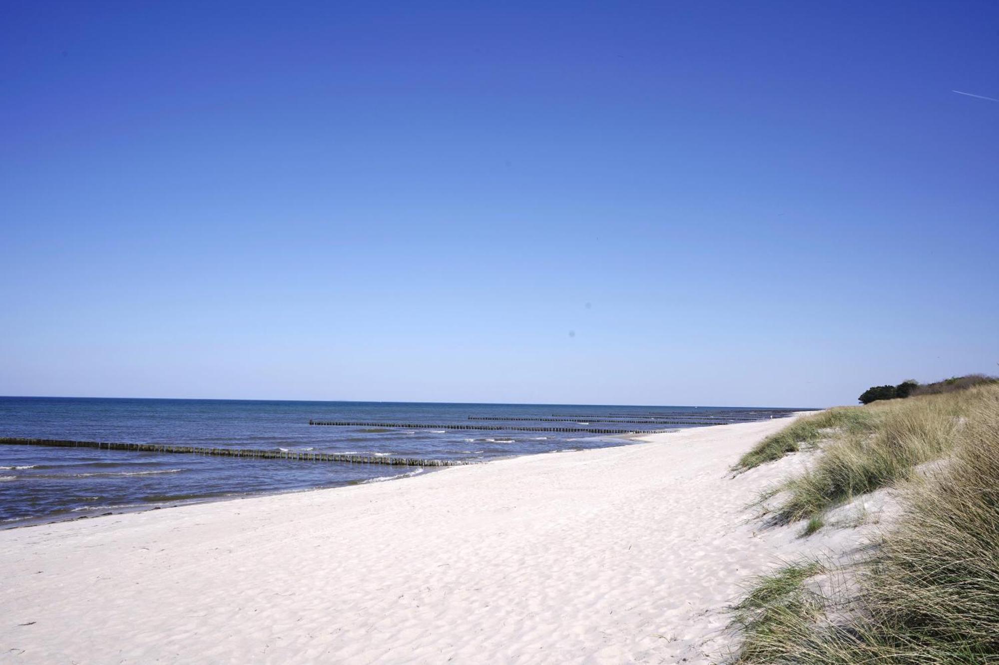 Achtern Diek 8A - Wohnung 5 Zingst Eksteriør billede